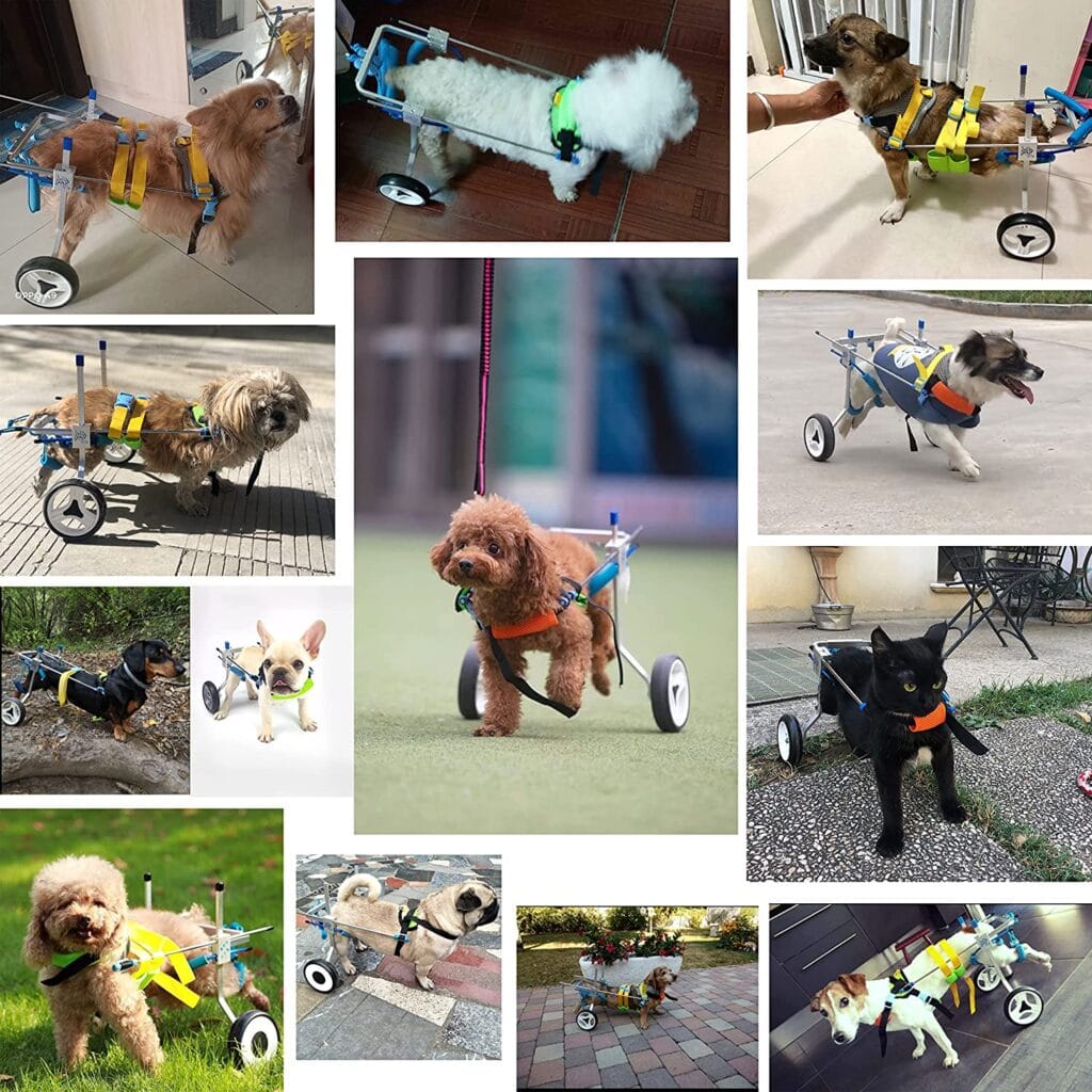 Silla de Ruedas Ajustable para Perros, Sillas de Ruedas para Mascotas con Patas Traseras Discapacitadas, Ayuda a Los Animales a Recuperar la movilidad Silla de Ruedas Ajustable para Perros, Sillas de Ruedas para Mascotas con Patas Traseras Discapacitadas, Ayuda a Los Animales a Recuperar la movilidad